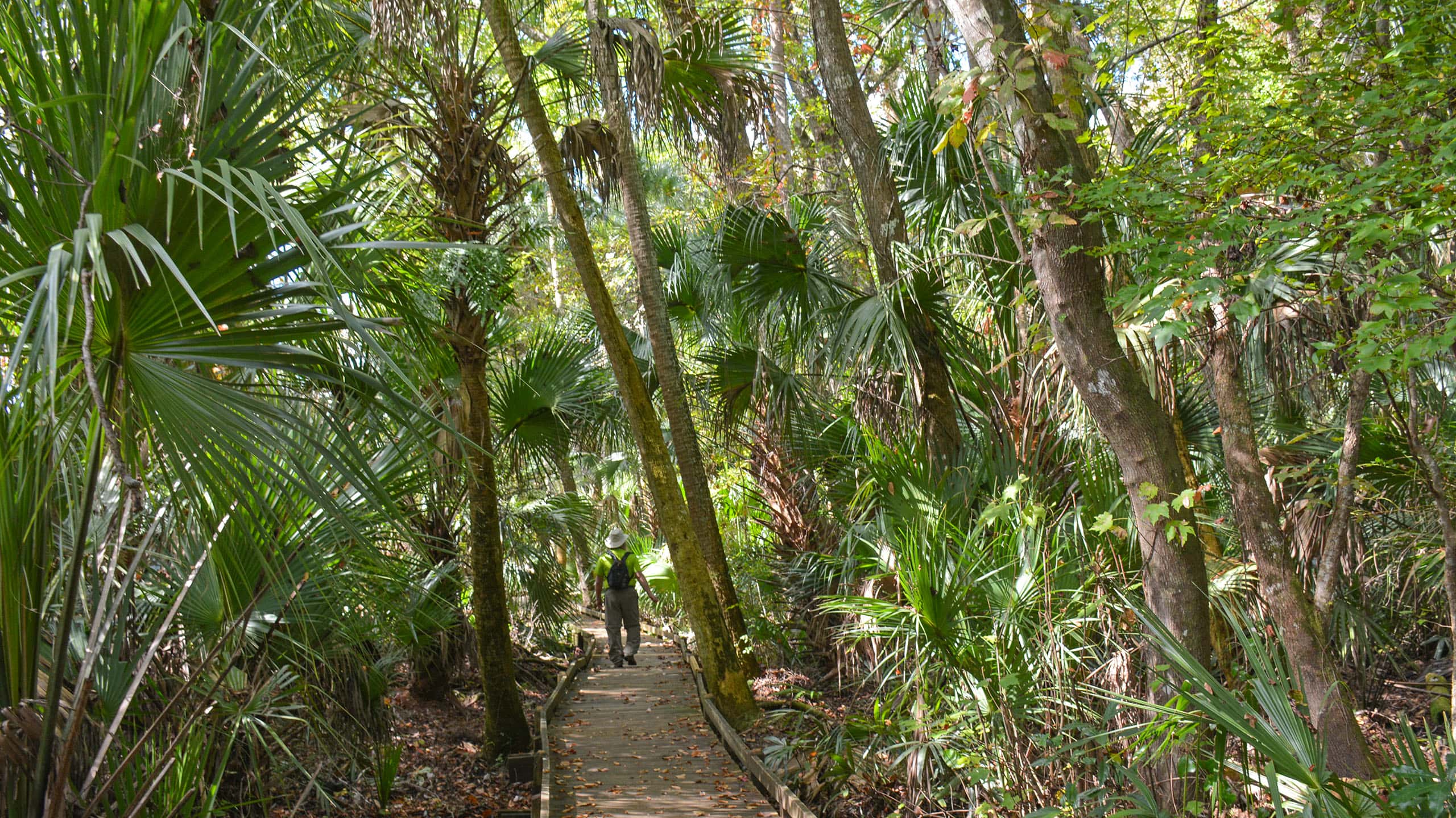Bosques nacionales en Florida