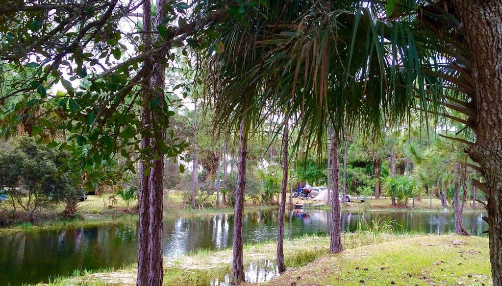 7 actividades al aire libre en Florida 7 actividades al aire libre en Florida