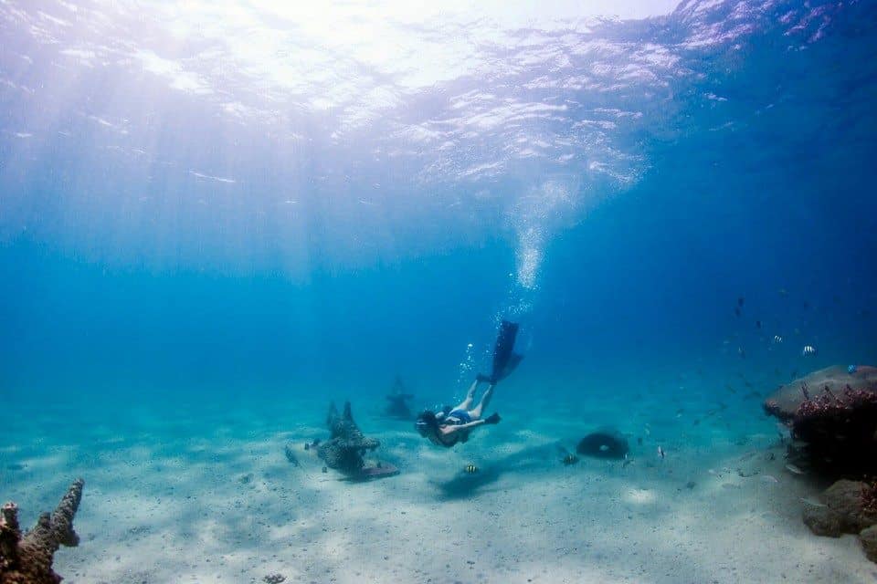 El sendero para hacer snorkel en Phil Foster Park está lleno de vida marina fácil de detectar El sendero para hacer snorkel en Phil Foster Park está lleno de vida marina fácil de detectar