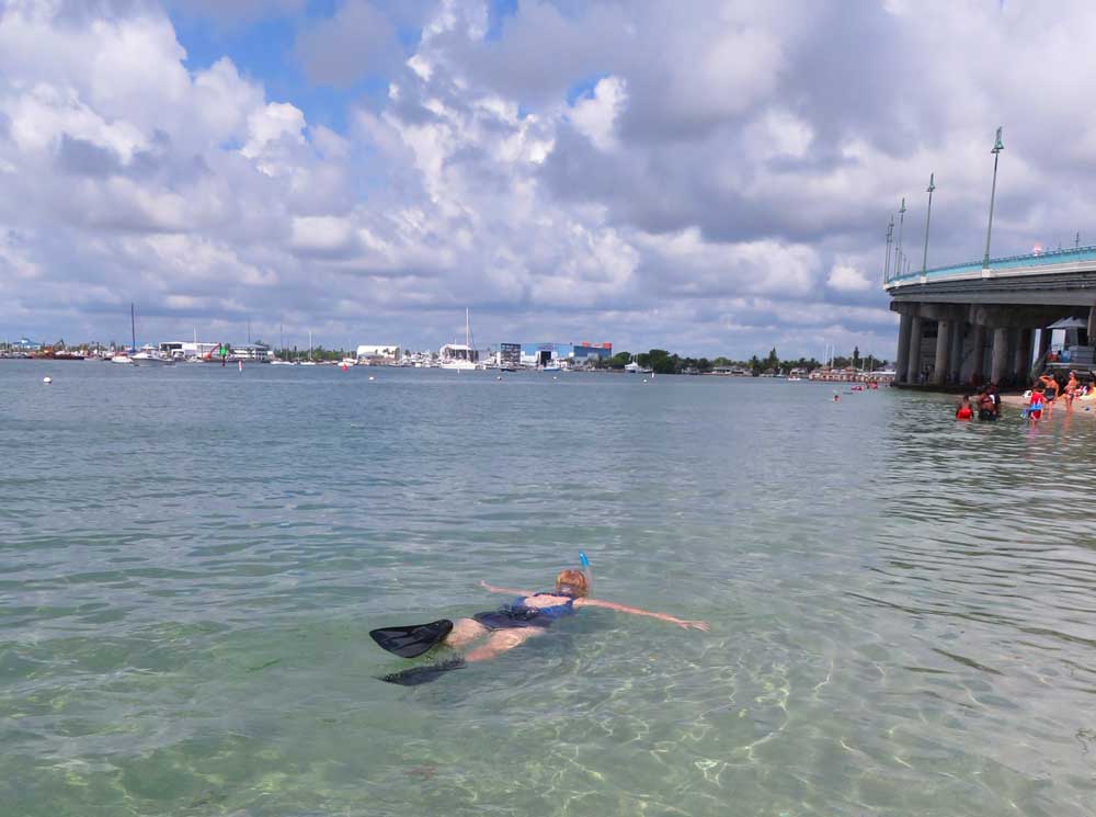 El sendero para hacer snorkel en Phil Foster Park está lleno de vida marina fácil de detectar El sendero para hacer snorkel en Phil Foster Park está lleno de vida marina fácil de detectar