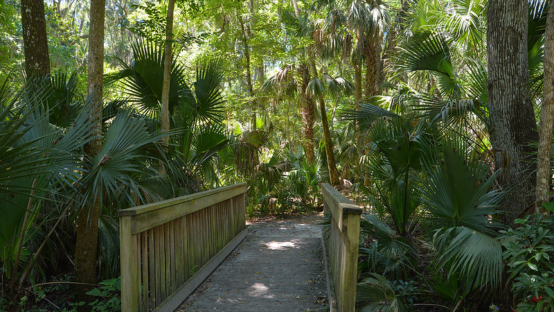 Parque de manantiales verdes Parque de manantiales verdes
