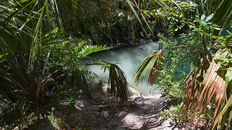 Parque de manantiales verdes Parque de manantiales verdes
