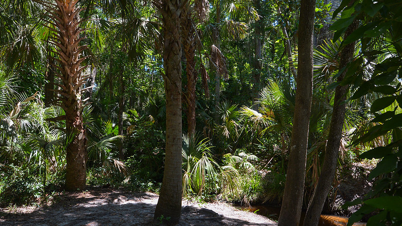 Parque de manantiales verdes Parque de manantiales verdes