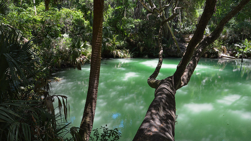 Parque de manantiales verdes Parque de manantiales verdes