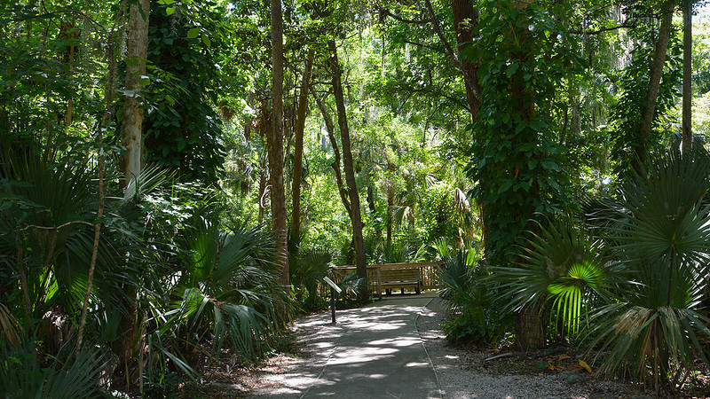 Parque de manantiales verdes Parque de manantiales verdes