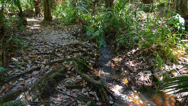 Parque de manantiales verdes Parque de manantiales verdes