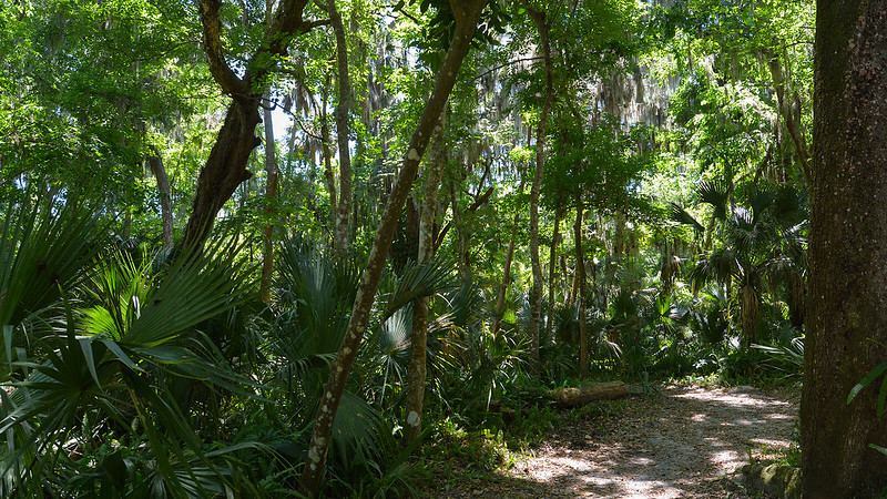Parque de manantiales verdes Parque de manantiales verdes