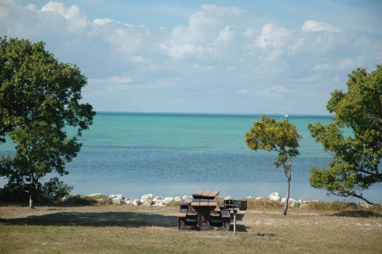 Camping primitivo en decenas de islas estrelladas de Florida