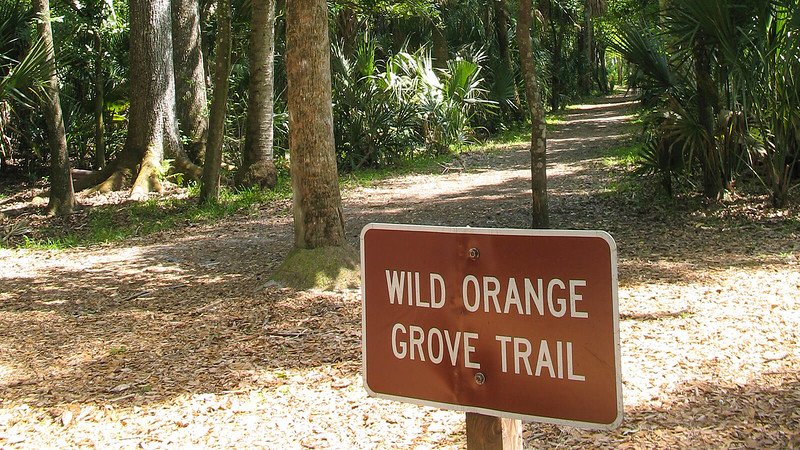 Parque estatal Highlands Hammock Parque estatal Highlands Hammock