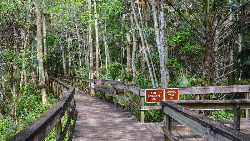 Parque estatal Highlands Hammock Parque estatal Highlands Hammock