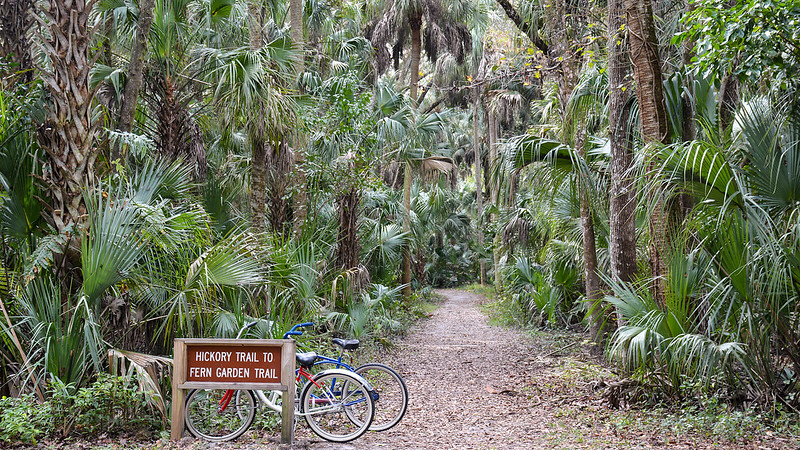 Parque estatal Highlands Hammock Parque estatal Highlands Hammock