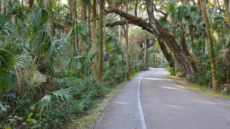 Parque estatal Highlands Hammock
