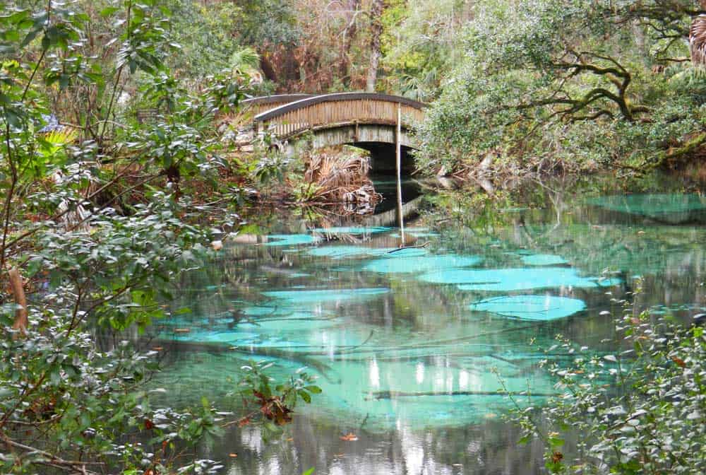 7 actividades al aire libre en Florida 7 actividades al aire libre en Florida
