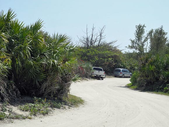 7 actividades al aire libre en Florida 7 actividades al aire libre en Florida