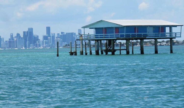 Stiltsville de Miami: vívelo en barco en los tours al Parque Nacional Biscayne Stiltsville de Miami: vívelo en barco en los tours al Parque Nacional Biscayne