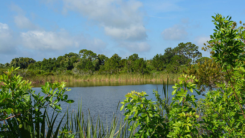Parque lineal del zoológico de Brevard