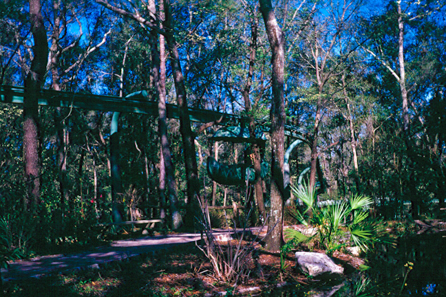 Persiguiendo arcoíris: protección de manantiales de Florida
