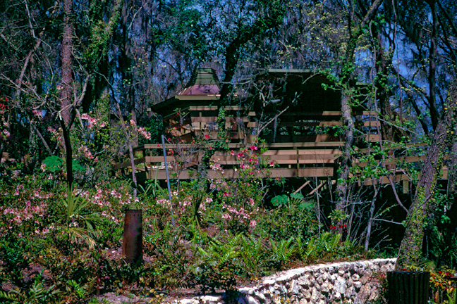 Persiguiendo arcoíris: protección de manantiales de Florida