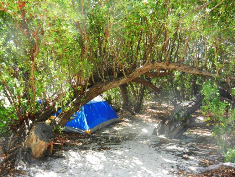 Camping primitivo en decenas de islas estrelladas de Florida