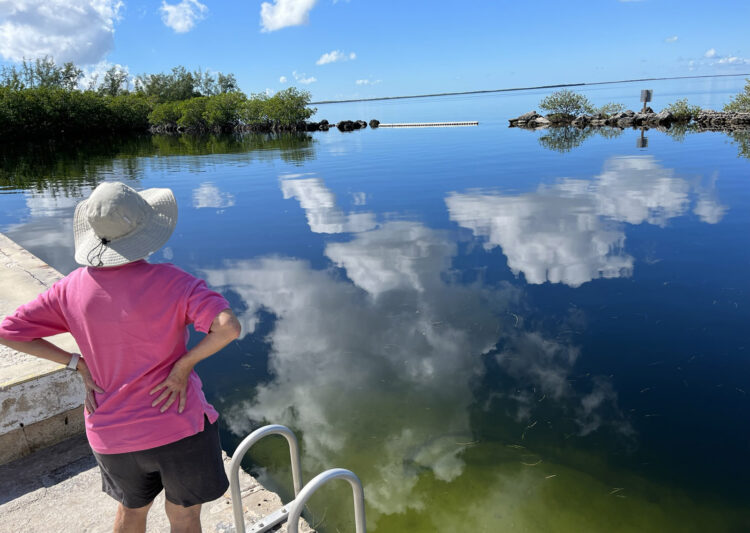 Dos nuevos parques en los Cayos de Florida están mejorando los lugares locales para nadar y agregando servicios recreativos