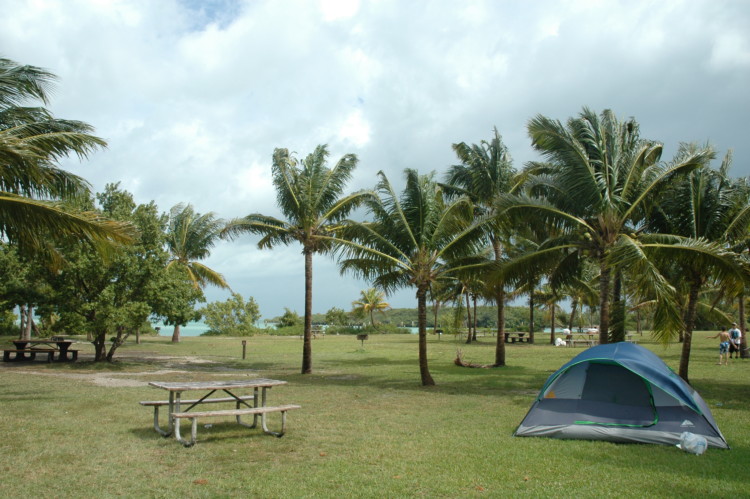 El mejor camping en los parques públicos del sur de Florida
