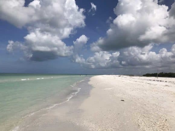 Fuera de lo común en Marco Island: vaya más allá de la piscina de su hotel Fuera de lo común en Marco Island: vaya más allá de la piscina de su hotel