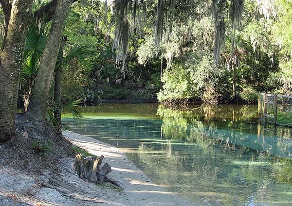 Lithia Springs: acampe en este parque fresco y apartado cerca de Tampa Lithia Springs: acampe en este parque fresco y apartado cerca de Tampa