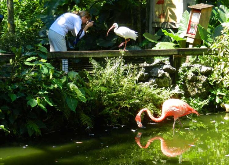Los mejores parques del sur de Florida Los mejores parques del sur de Florida
