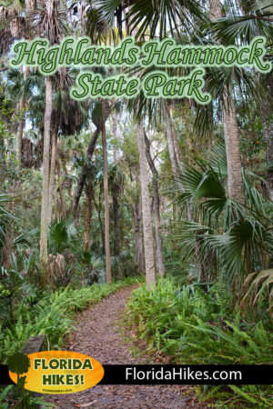 Parque estatal Highlands Hammock