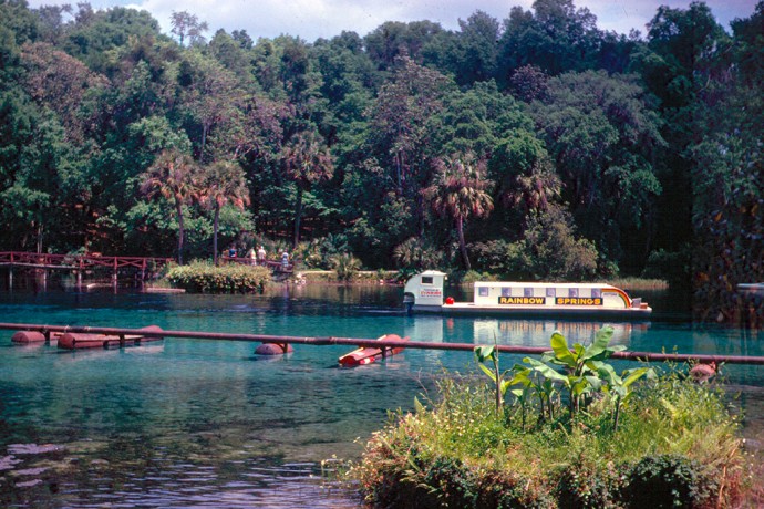 Persiguiendo arcoíris: protección de manantiales de Florida