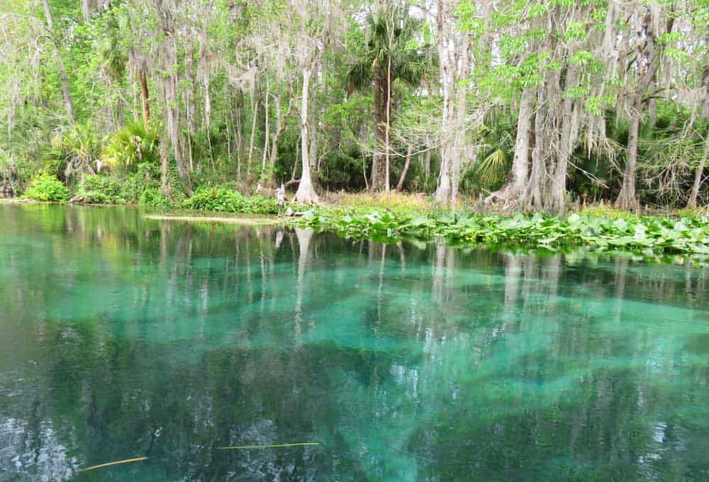 Silver Springs State Park: manantial famoso, cabañas, caminatas e historia