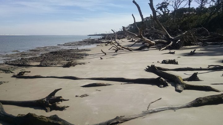 Playa del cementerio |
