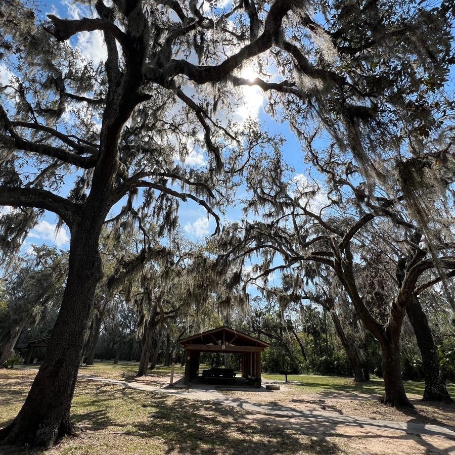 TOP 10 MEJORES tiendas de campaña para acampar en Tampa Bay, FL actualizado a julio de 2024...