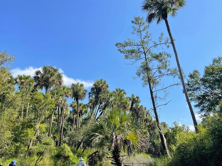 Sendero para remar en el río Econ, bosque estatal Little-Big Econ - Florida...