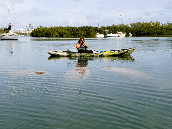 Kayak Con Manatíes Y Ciclismo De Montaña En Miami - Buddy The...