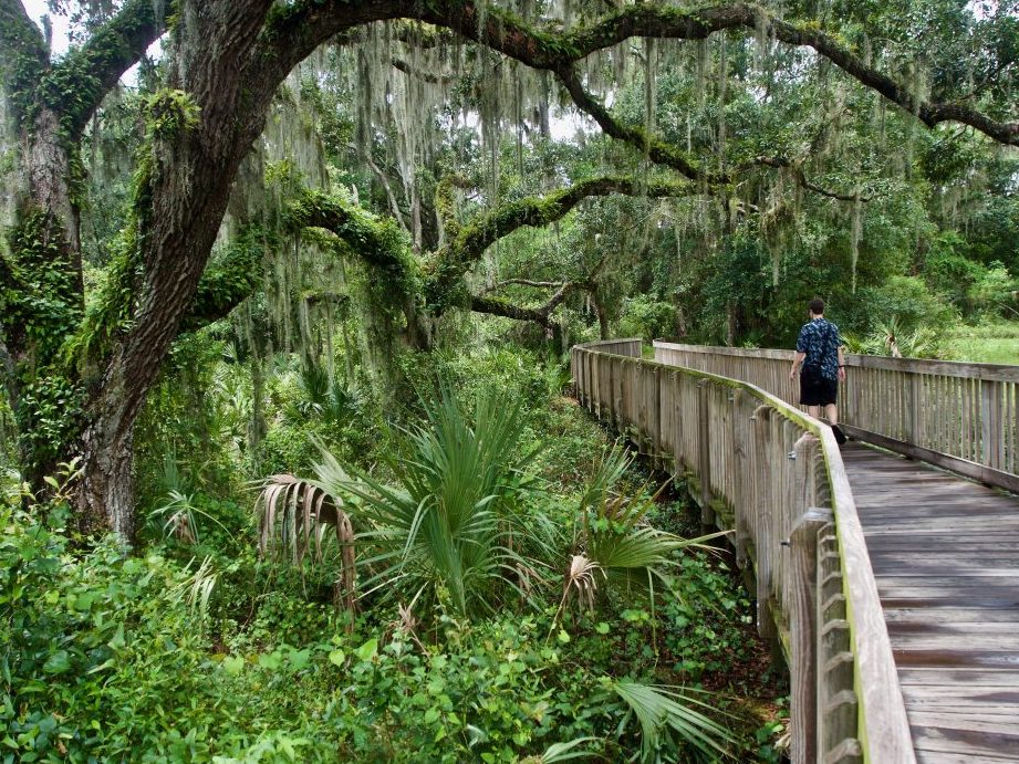 Lithia Springs: acampe en este parque fresco y apartado cerca de Tampa Parque Regional Lithia Springs - Asociación de Comercio de RV de FloridaFlorida...