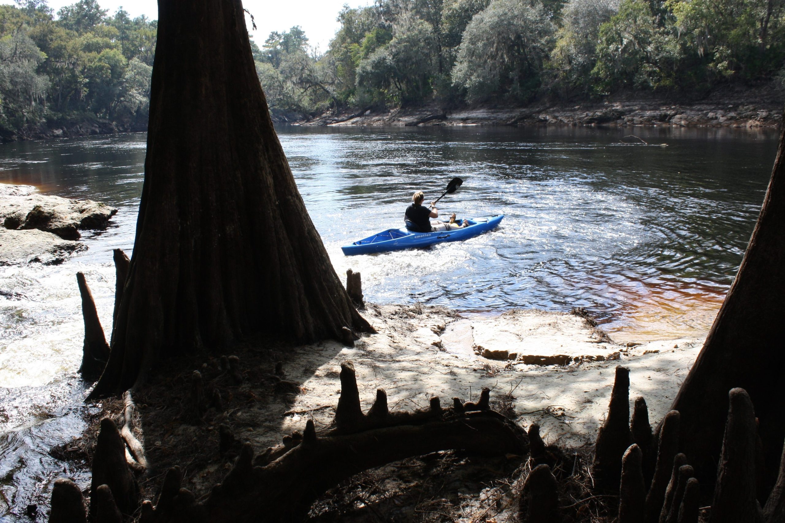Parque estatal del río Suwannee |