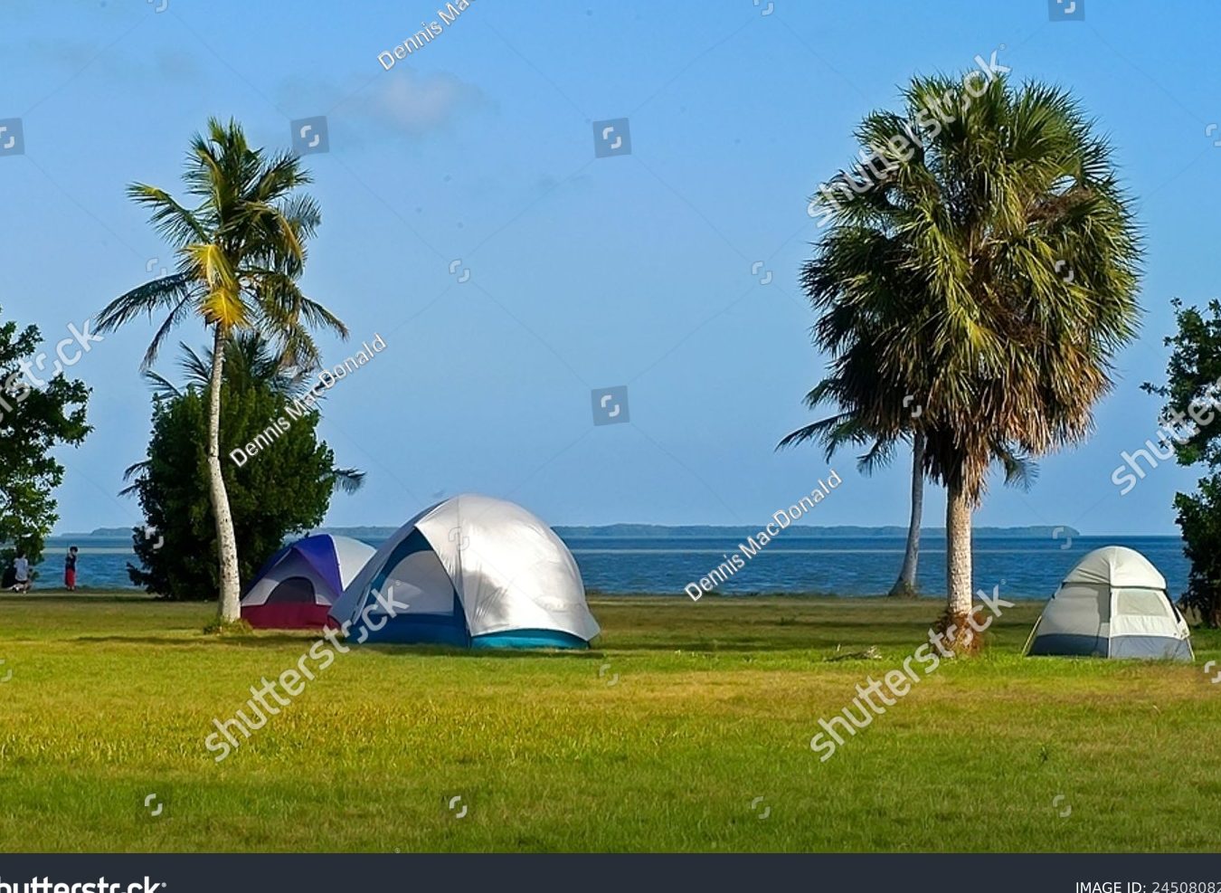 3,831 Camping Florida imágenes de stock libres de derechos ...