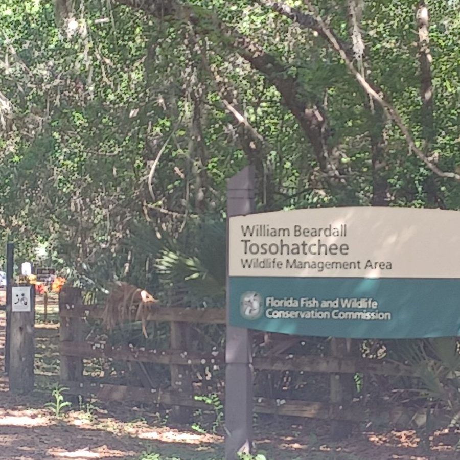 Lazos y accesorios para el pelo de Wee Ones